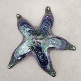 #05162312 starfish (wall hangs and sits flat) 2.25''Hx7''W $100