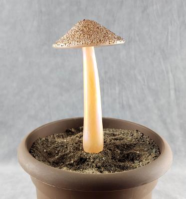 #04152449 mushroom with glass stake 8''Hx4''W $70