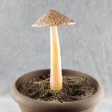 #04152449 mushroom with glass stake 8''Hx4''W $70