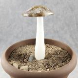 #04162404 GLOW IN THE DARK mushroom on glass stake 7''Hx4''w $80