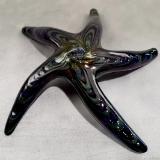 #09162504 Starfish Purple 5.5'' $80.00