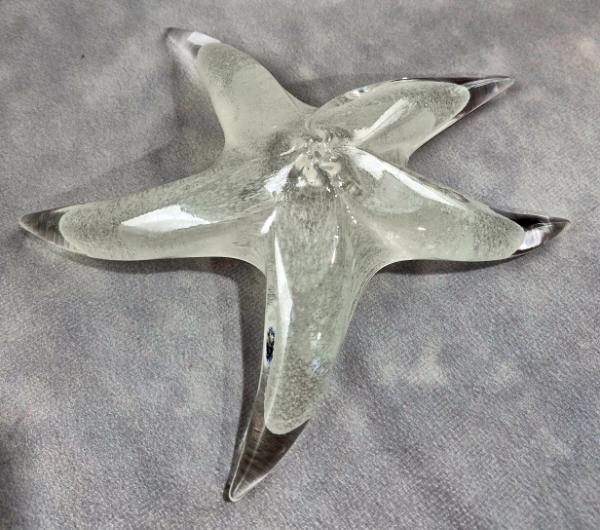 #02252604 Starfish Glows in the dark 6.75'' W  $100.00