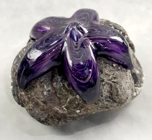 #23 #09162506 Starfish on rock Purple 4.75''HX6''WX5.5''D $150.00