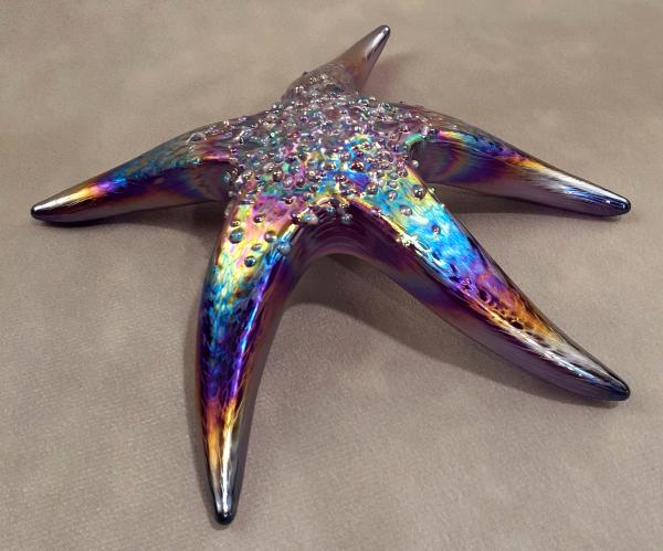 #10262641 Starfish with wall hanger Iridised 7''W $90.00