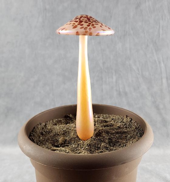 #04152444 mushroom with glass stake 8''Hx4''W $70