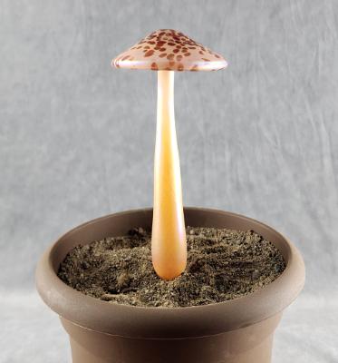 #04152444 mushroom with glass stake 8''Hx4''W $70