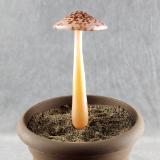 #04152444 mushroom with glass stake 8''Hx4''W $70