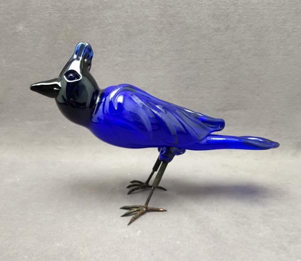 #08032203 steller's jay 7''Hx11''Lx3.5''W $300