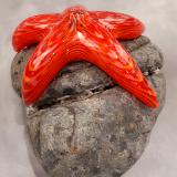 #10262623 Starfish on rock 3.75''HX6.5''WX5''D $150.00