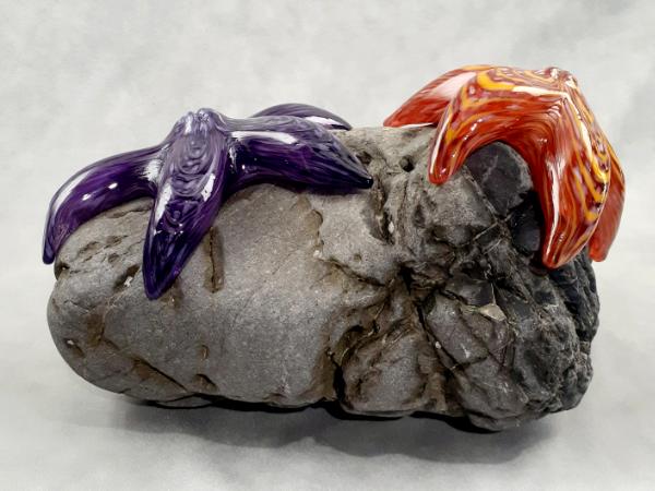 #01 #09162511 Two Starfish on rock Purple & Orange 6.25''HX10''WX7.5''D $280.00