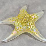 #02252609 Starfish Glows in the dark 6.75'' W Iridised  $100.00