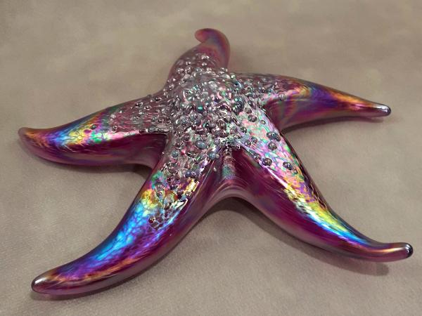 #10262640 Starfish with wall hanger Iridised 7.25''W $90.00