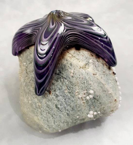 #09162508 Starfish on rock Purple 4.5''HX4.5''WX5''D $150.00