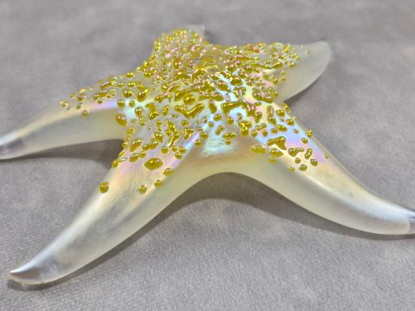 #03 #02252609 Starfish Glows in the dark 6.75'' W Iridised  $100.00