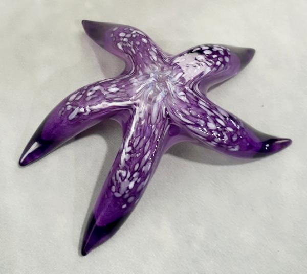 #12152515 Starfish  6.75'W   $90.00