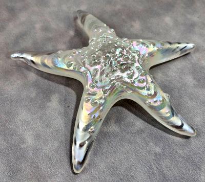 #02252610 Starfish Glows in the dark 6.75'' W Iridised  $100.00