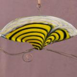 04201726  butterfly hanging