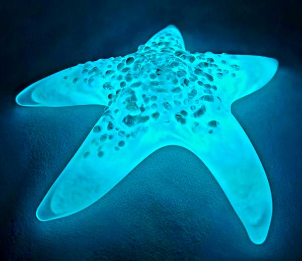 #02252612 Starfish Glows in the dark 6.25'' W Iridised  $100.00
