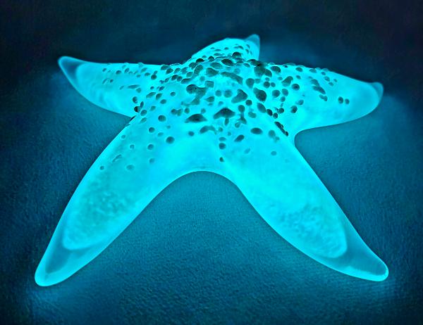 #02252611 Starfish Glows in the dark 6.5'' W Iridised  $100.00
