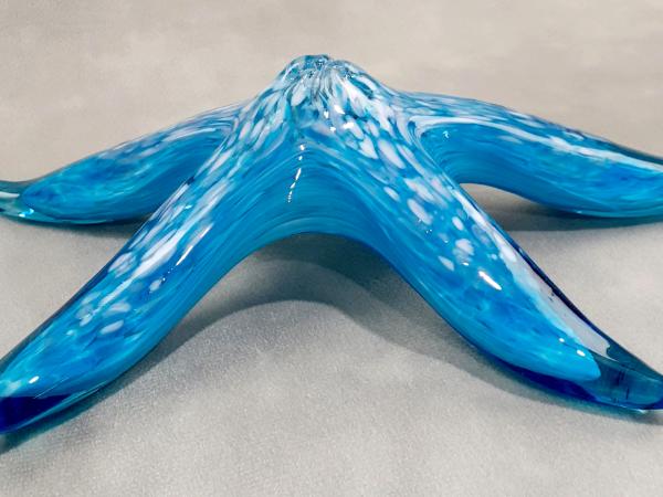 #10262637 Starfish with wall hanger 8.25''W $90.00