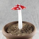 #04152408 mushroom with glass stake 7''Hx4''W $70