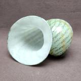 #10 #07172305 seashell 4.5''Hx6.5''Wx4.5''D $175