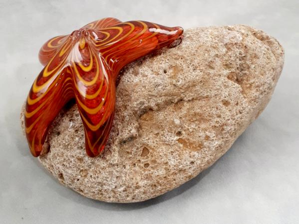#09162507 Starfish on rock Orange 4.25''HX8.5''WX5.25''D $150.00