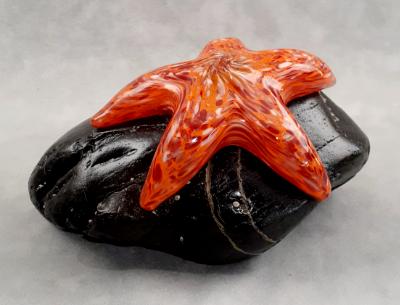 #08042512 Starfish on Rock 4''HX4.5''WX7.75''L $150.00 #08042512 Starfish on Rock 4''HX4.5''WX7.75''L $150.00