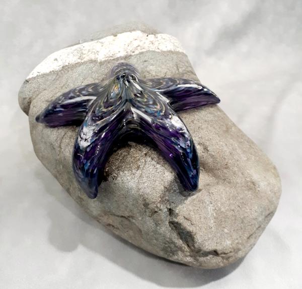 #09162509 Starfish on rock Purple 4.75''HX10.25''WX7.5''D $180.00