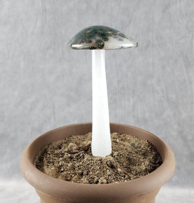 #04122434 GLOW IN THE DARK mushroom on glass stake 7.5''H x 4''W $80