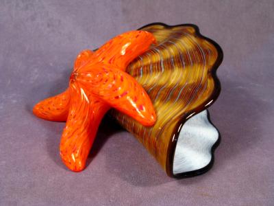 #05211403 Starfish on Shell