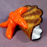 #05211403 Starfish on Shell