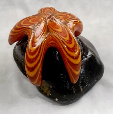 #08042511 Starfish on Rock 5''HX6.5''WX5.75''L $150.00 #08042511 Starfish on Rock 5''HX6.5''WX5.75''L $150.00