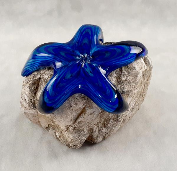 #22 #08222402 Starfish on rock 6.5''HX7''WX4.25''D $150.00