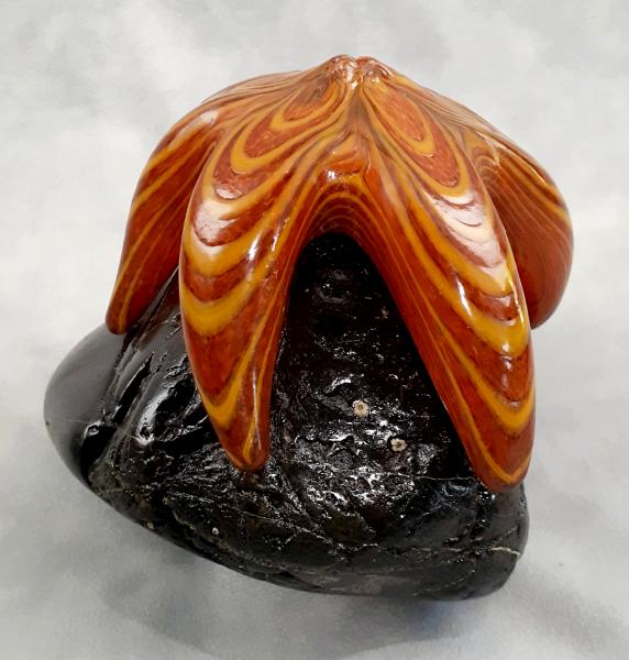 #08042511 Starfish on Rock 5''HX6.5''WX5.75''L $150.00