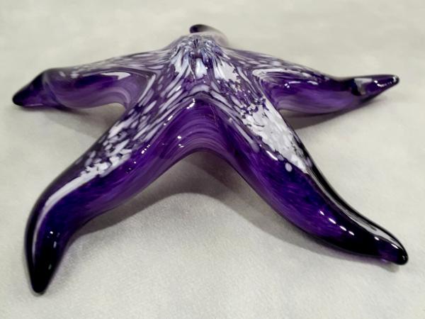 #10262639 Starfish with wall hanger 7.25''W $90.00