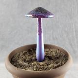 #04152435 mushroom with glass stake 7''Hx4''W $70