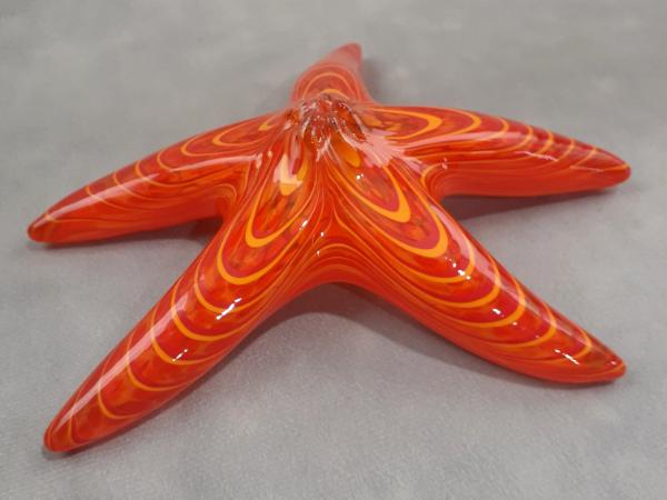 #05 #01102621 Starfish orange with wall hanger 6.75'' $85.00