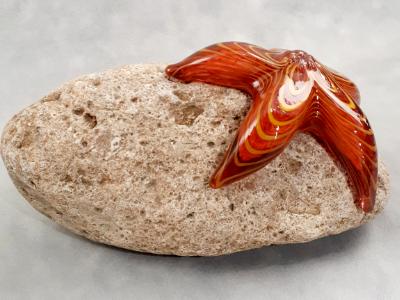 #09162507 Starfish on rock Orange 4.25''HX8.5''WX5.25''D $150.00