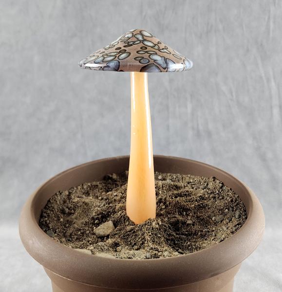 #04152446 mushroom with glass stake 7''Hx4''W $70