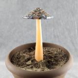 #04152446 mushroom with glass stake 7''Hx4''W $70