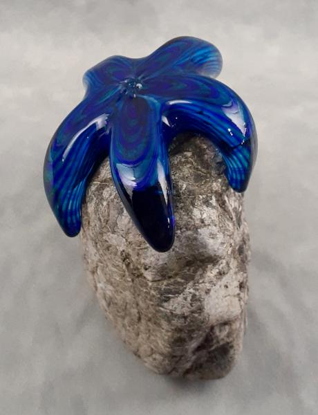 #22 #08222402 Starfish on rock 6.5''HX7''WX4.25''D $150.00