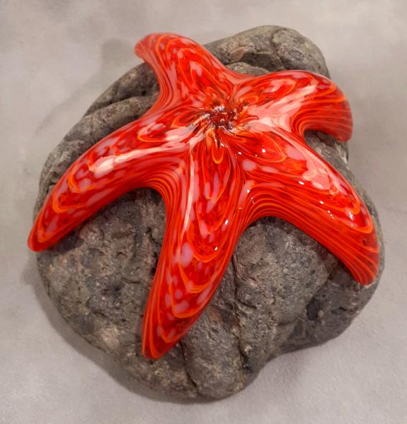 #10262623 Starfish on rock 3.75''HX6.5''WX5''D $150.00