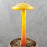 #04112407 LG mushroom with glass stake 13''Hx 6''W $100