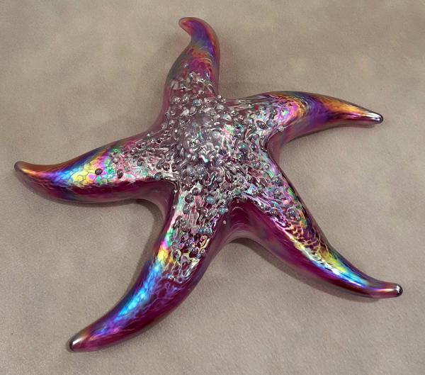 #10262640 Starfish with wall hanger Iridised 7.25''W $90.00