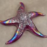 #18 #10262640 Starfish with wall hanger Iridised 7.25''W $90.00