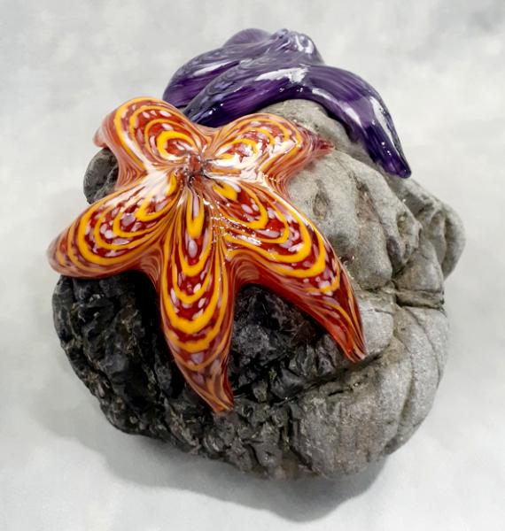 #09162511 Two Starfish on rock Purple & Orange 6.25''HX10''WX7.5''D $280.00