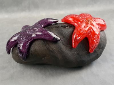 #25 #08302401 Starfish on rock 4''HX10.25WX6.5''D $275.00