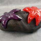 #25 #08302401 Starfish on rock 4''HX10.25WX6.5''D $275.00