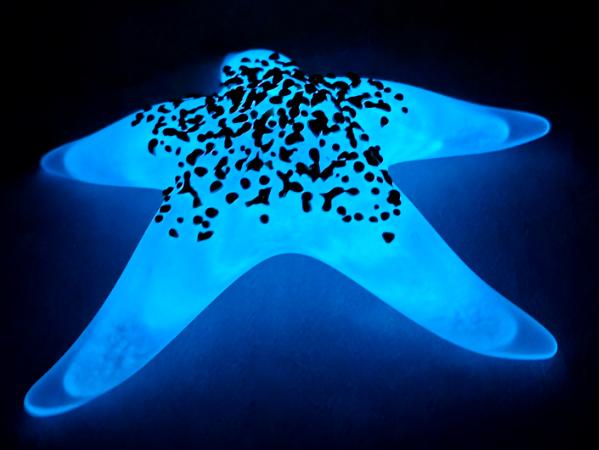 #02 #03092617 Starfsh Glow in the dark 6.75'' Iridised $100.00